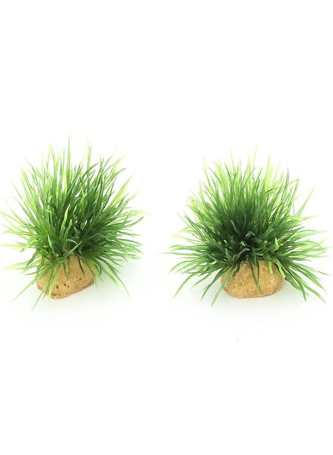 AQUA KT Aquarium Landscape Foreground Grass Seaweed Green Plants for Marine Freshwater Fish Tank Decoration, Pack of 10 - Image 5